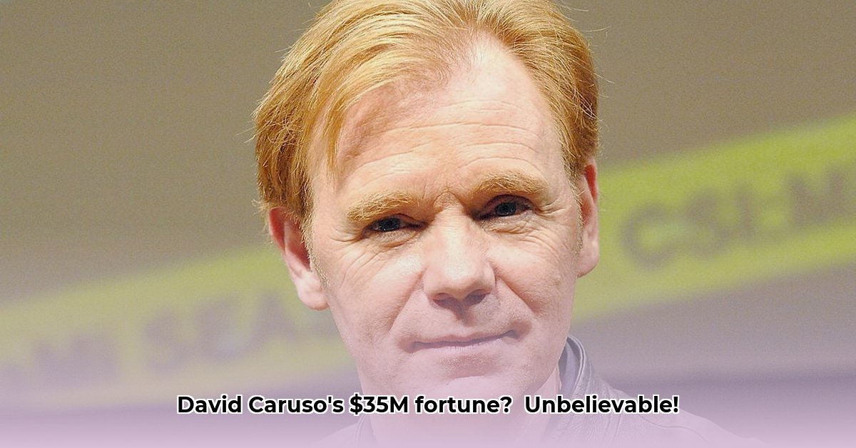 net-worth-david-caruso